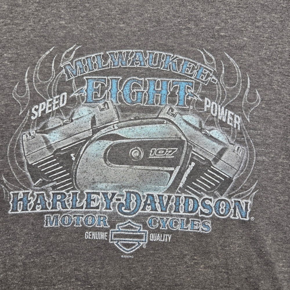 Harley-Davidson Milwaukee Eight 107 T-Shirt Badlands Wall SD Gray XXL